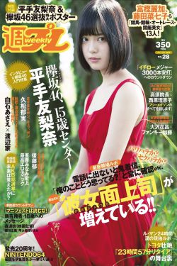 延禧宫略