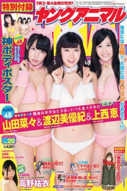 大爱无疆短剧免费观看