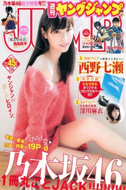 少年派第二季电视剧免费观看