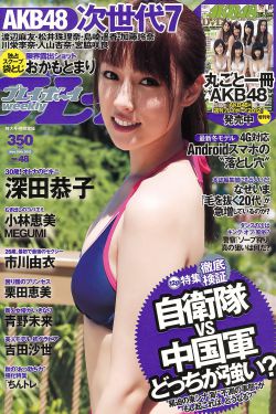 打狗棍电视剧全集
