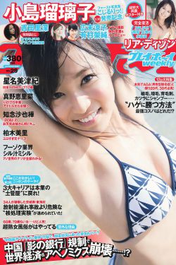 上阵父子兵电视剧全集